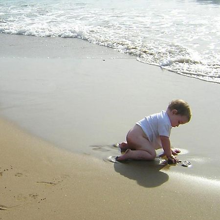 Yannis - Holiday Apartments On Agios Gordios Beach In Corfu Eksteriør billede
